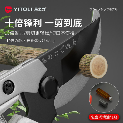 日本原材料进口修剪树枝剪刀加长修枝剪果树剪枝专用园林园艺树木 - 图2