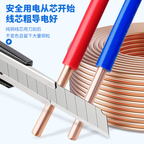 金联宇国标阻燃BV1.5 2.5 4 6平方单股铜芯单塑家装家用电线零剪 - 图0