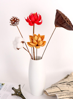 ins网红天然干花棉花客厅装饰