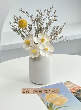 ins风简约干花带花瓶特惠装