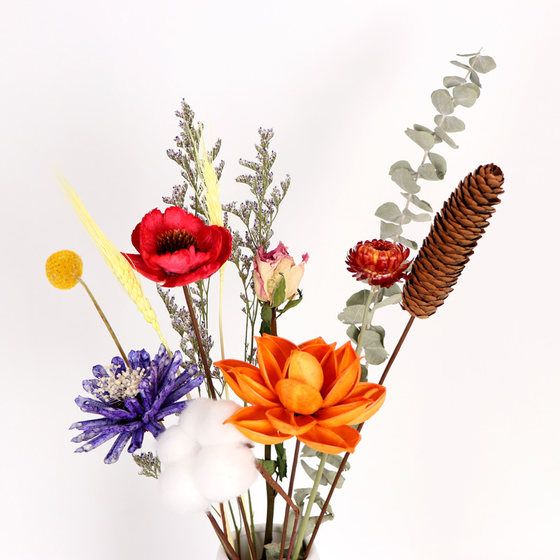 Ins internet celebrity natural dried flower cotton living room decoration