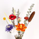 Ins internet celebrity natural dried flower cotton living room decoration