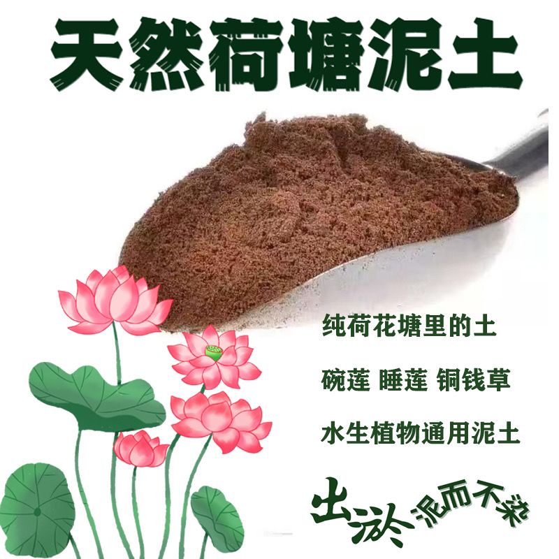 荷塘泥碗莲睡莲铜钱草水生植物专用天然塘泥土淤泥家庭水培种植土 - 图1