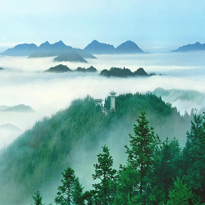 独立私家小团/品质井冈山2天游/江西井冈山2天1晚旅游自助旅行-图2