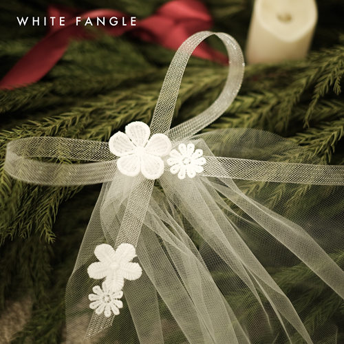 WHITE FANGLE 青柠 小轻薄飘带蕾丝头纱 旅拍领证头纱超仙森系 - 图0