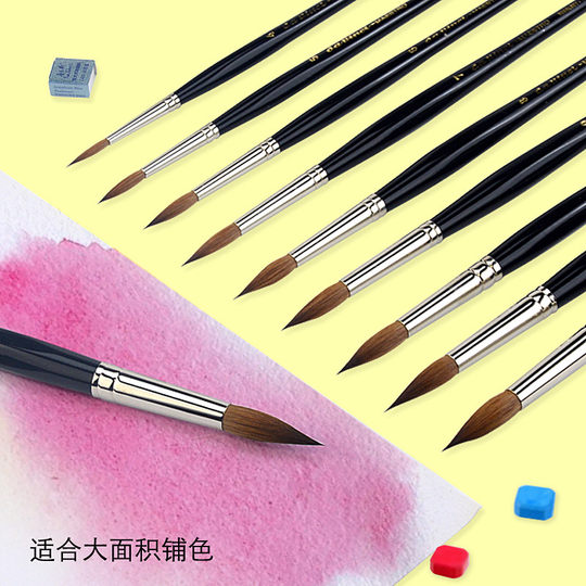 DaVinci – pinceau aquarelle v35, rangée de pinceaux à pigments solides