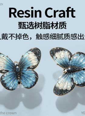 洞洞鞋鞋花配饰蓝色蝴蝶
