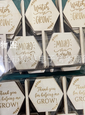 现货植物生长木质标签激光雕刻木片多肉字牌标识花卉木插牌