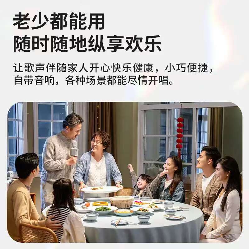 权盟 R2炫声麦话筒音响一体机内置声卡无线蓝牙k歌录歌直播神器
