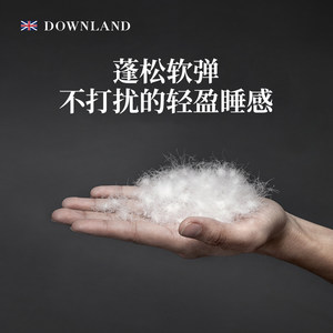 DOWNLAND鹅绒枕头护颈椎助睡眠柔软舒适回弹酒店专用睡觉纯棉枕头