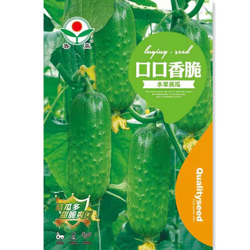 满地爬水果黄瓜种籽 绿芯黄瓜种子孑苗 旱黄瓜阳台四季蔬菜种子苗 - 图0