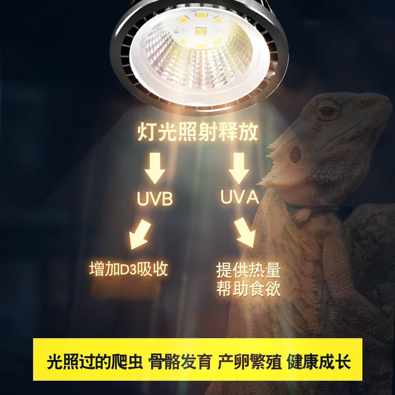 乌龟晒背灯UVA+UVB全光谱led太阳灯爬虫照背灯龟缸灯补钙三合一,淘宝优惠券,粉丝福利购,淘宝优惠卷