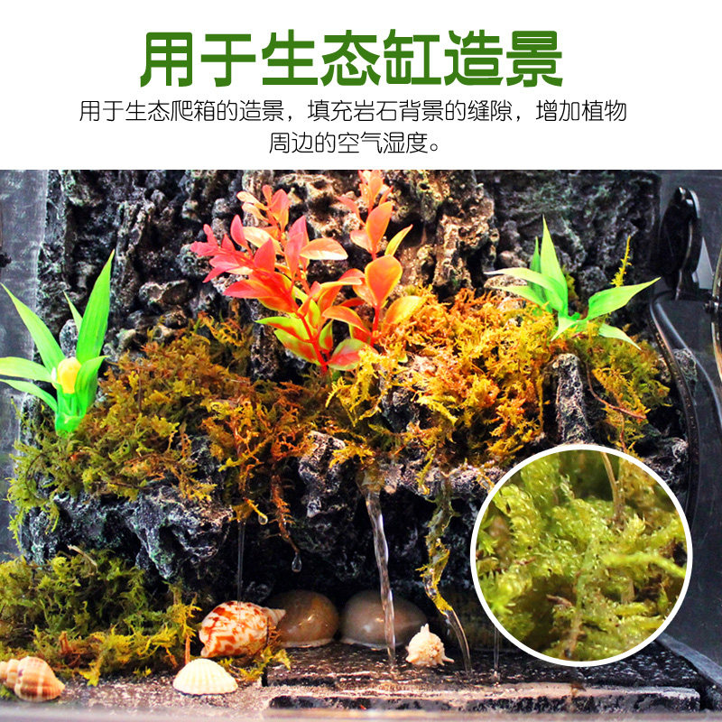 爬宠垫材苔藓保湿乌龟冬眠专用过冬用品椰砖椰土干草龟巴西龟沙盒,淘宝优惠券,粉丝福利购,淘宝优惠卷