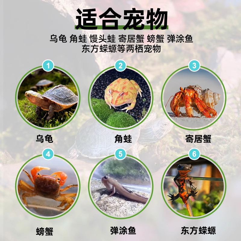 超白乌龟饲养缸玻璃生态水陆底排水造景半水龟蛙蟹专用龟缸两栖缸,淘宝优惠券,粉丝福利购,淘宝优惠卷