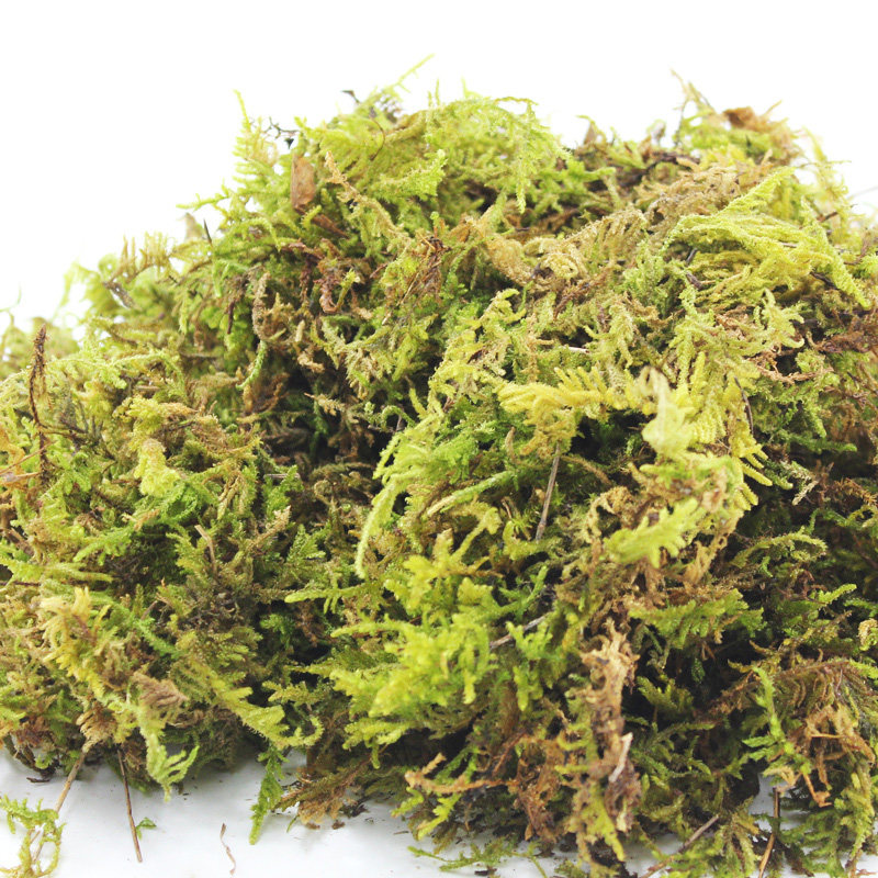 爬宠垫材苔藓保湿乌龟冬眠专用过冬用品椰砖椰土干草龟巴西龟沙盒,淘宝优惠券,粉丝福利购,淘宝优惠卷