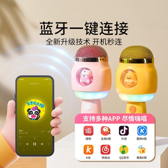 Leleyu Audio Microphone Toy