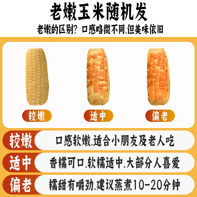 云南西双版纳香糯小玉米棒10斤即食新鲜傣家甜花糯玉米粒粗粮代餐-图3