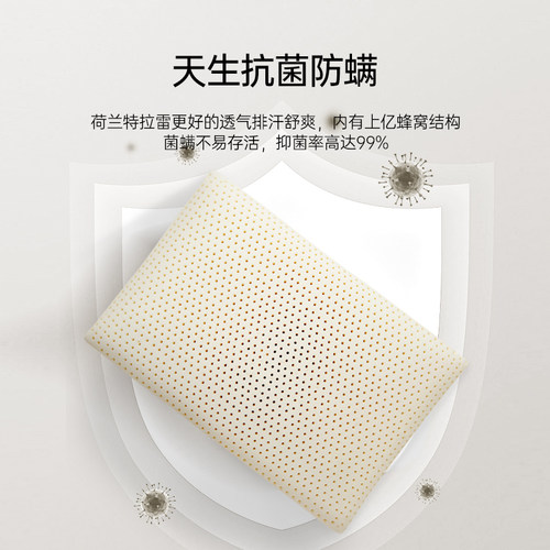 DUNLOPILLO/邓禄普进口天然乳胶枕儿童枕幼童枕头枕芯0-16岁防螨 - 图2