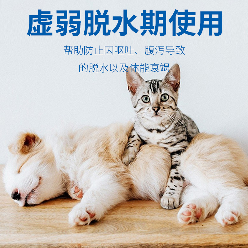 宠物犬猫速补保命酶宠物营养补充剂代替输液补液细小病毒补营养-图1