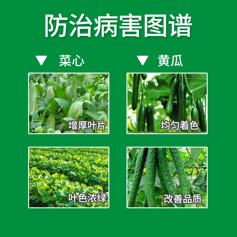 绿芬威花果保微量元素水溶肥料叶面肥雅苒 - 图2