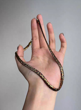 甜酷辣妹欧美彩色印花蛇骨项链女