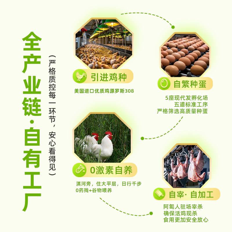 大用鸡翅中新鲜冷冻0激素无添加生鲜鸡肉清真空气炸锅食材鸡中翅,淘宝优惠券,粉丝福利购,淘宝优惠卷