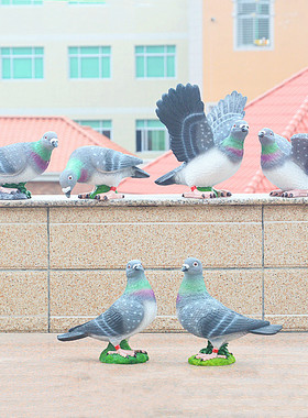 树脂田园庭院和平白鸽