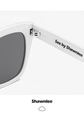 Shawnlee方框板材墨镜