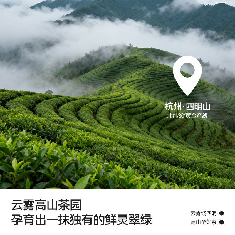 谷之优品纯抹茶粉欧标抹茶冲饮烘焙饮品咖啡拿铁蛋糕奶茶店代餐,淘宝优惠券,粉丝福利购,淘宝优惠卷