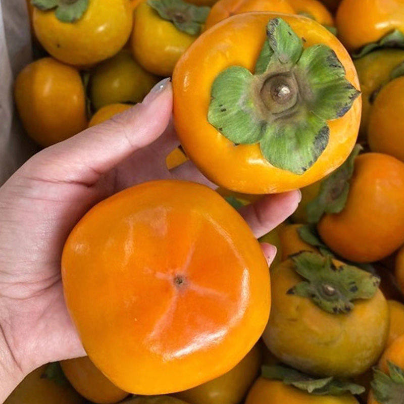 广西巧克力脆柿子新鲜水果脆皮柿子甜柿子冰糖心当季水果整箱包邮,淘宝优惠券,粉丝福利购,淘宝优惠卷