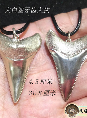 海工坊出品古生物,沙鱼牙,箭头造型吊坠 /925银 /详情看说明