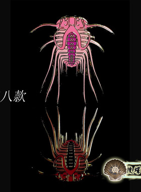 世界三叶虫系列徽章/更新到第八款