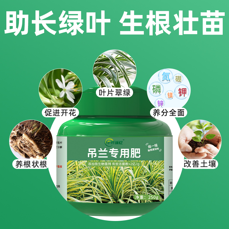 吊兰专用肥料营养液有机肥金边花肥家用盆栽通用型花卉植物绿植用 - 图0