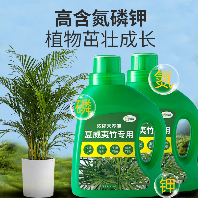 夏威夷竹肥料盆栽复合专用肥散尾葵浓缩营养液绿植园艺植物室内用 - 图0