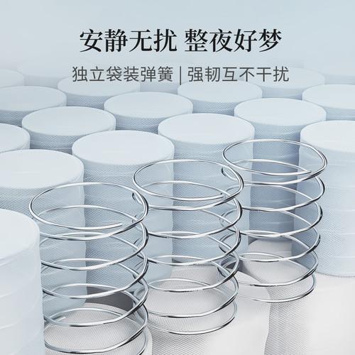 丽思卡尔顿床垫五星级酒店家用独立袋装弹簧席梦思双人床架 - 图2
