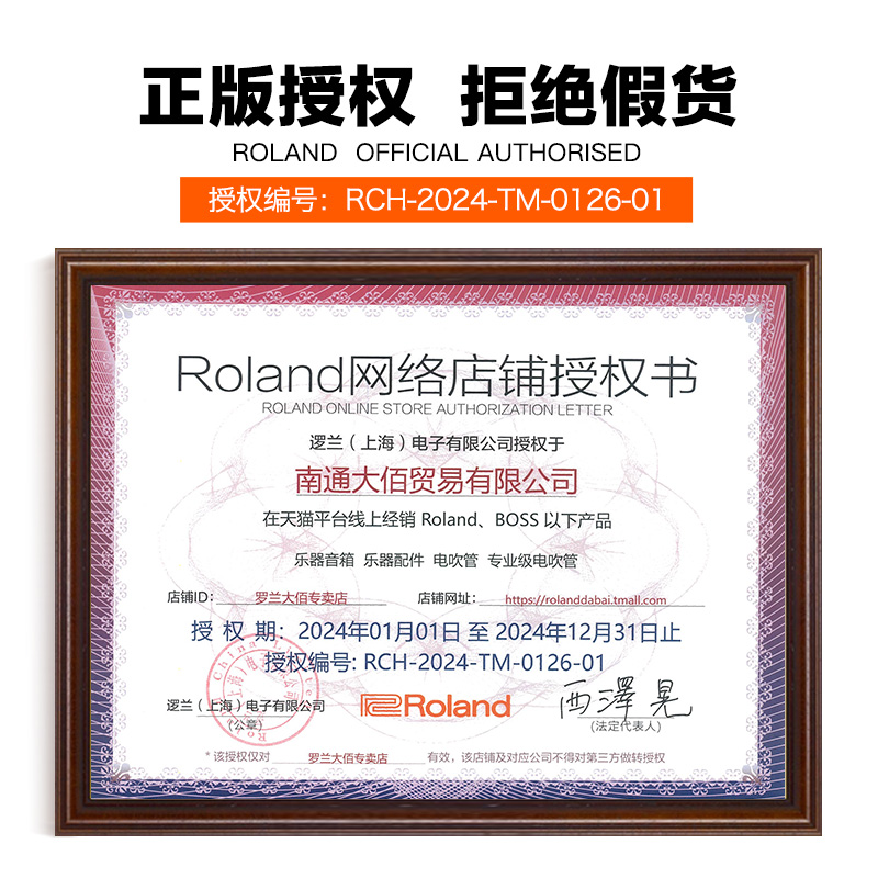 Roland罗兰电吹管乐器AE20老年人娱乐初学AE30电萨克斯吹管ae10-图2