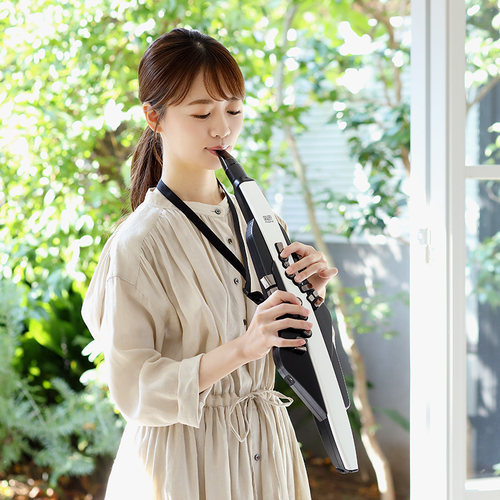 Roland罗兰电吹管乐器AE20老年人娱乐初学AE30电萨克斯吹管ae10 - 图3