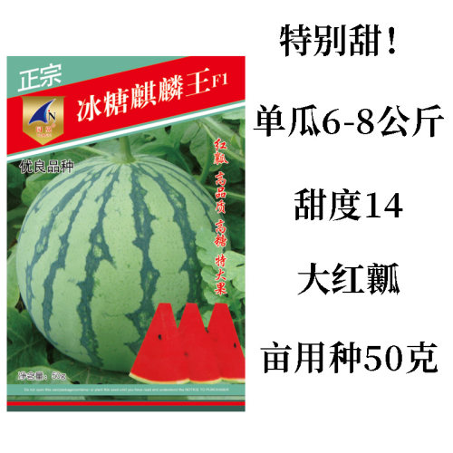 西瓜种籽高产甜早熟麒麟瓜南方无籽蔬菜种孑美都黄壤8424西瓜种子 - 图2
