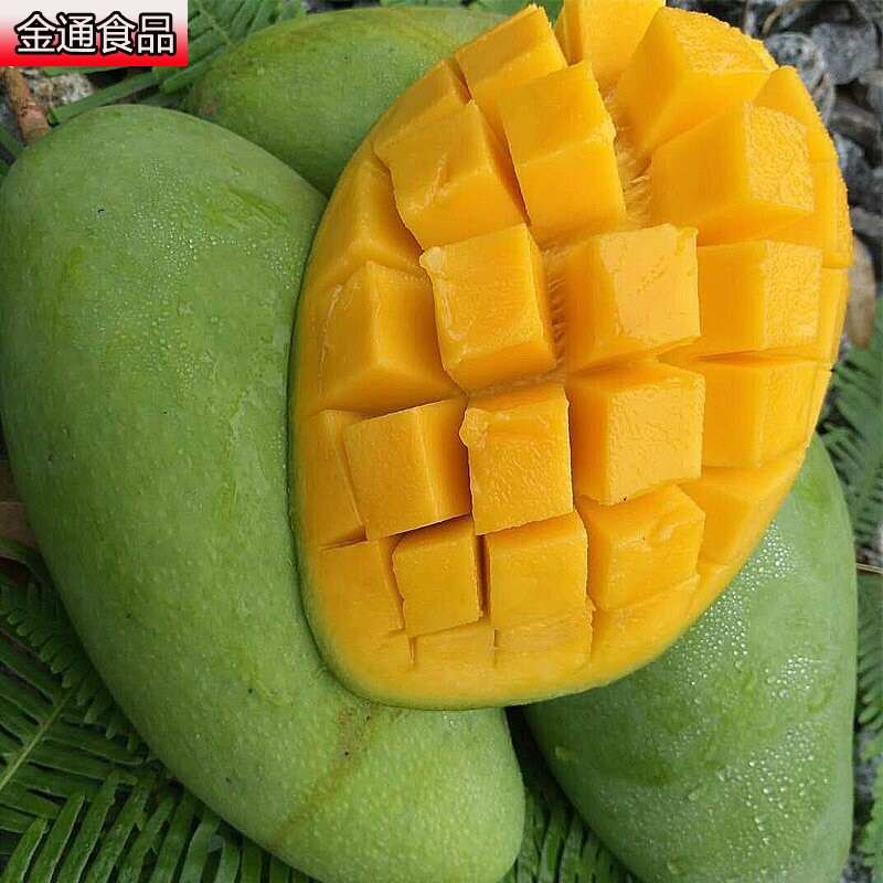 热带越南大青芒新鲜当季10带箱芒果 金通食品芒果