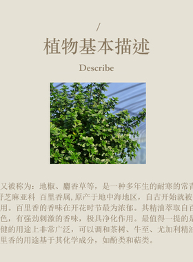 多特瑞 百里香单方精油15ml官网doterra正品按摩滋养皮肤涂抹香氛