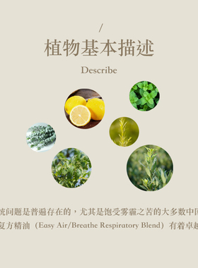 多特瑞顺畅呼吸复方精油15ml官网正品doterra滋养皮肤涂抹香氛