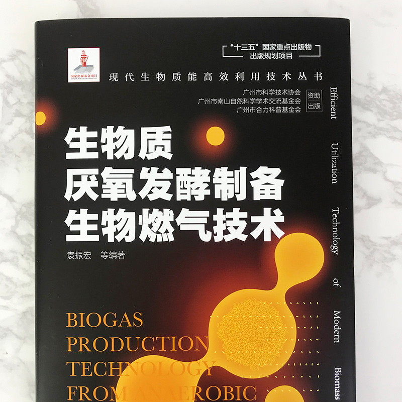 正版现货 现代生物质能高效利用技术丛书--生物柴油生产及应用技术 1化学工业出版社 吕鹏梅 等 编著 - 图2