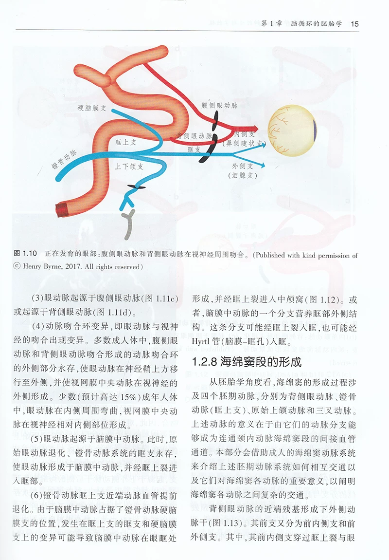 Spot Vaste Internal Neuroscience and Intervention of Neur Radiology Tutorial No. 2 Tianjin Technology Translation Press 9787543339439