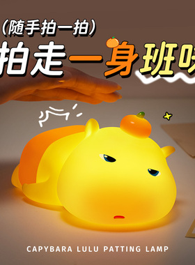 可以揉捏解压的噜噜小夜灯~