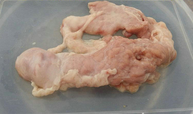 新鲜猪胰子 杀猪人家生鲜猪胰腺 猪胰子 可定制猪胰子粉(干)