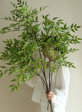 高仿真南天竹懒人植物免打理