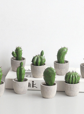 Nordic ins cactus potted green living room home decoration