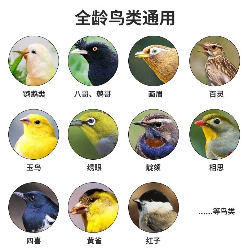 开元鹦鹉专用益生菌粉剂鸟用营养补充剂电解质水溶钙维生素葡萄糖,淘宝优惠券,粉丝福利购,淘宝优惠卷