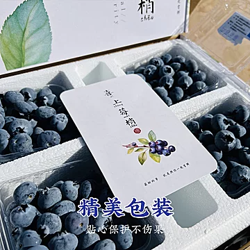 顺丰空运！高原花香蓝莓礼盒15mm*4盒[20元优惠券]-寻折猪