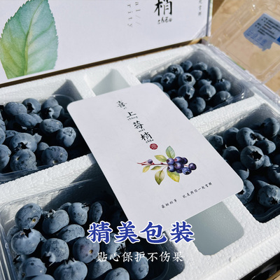 【SSS+花香蓝莓】甄选品质好果